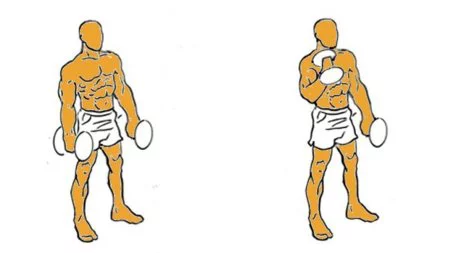 Imagen de Martillo con mancuernas